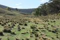 Property photo of 999 Mount Horrible Road Palmers Oaky NSW 2795