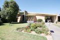 Property photo of 10 La Jolla Avenue Fulham SA 5024