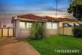 Property photo of 137 Rose Street Yagoona NSW 2199