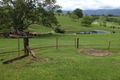 Property photo of 141 Tyalgum Creek Road Tyalgum Creek NSW 2484