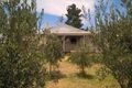 Property photo of 28 Cudgegong Street Mumbil NSW 2820