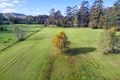 Property photo of 39 Jones Road Lower Portland NSW 2756