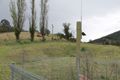 Property photo of 5305 Araluen Road Neringla NSW 2622
