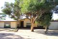 Property photo of 41 Cobbin Street Port Augusta West SA 5700