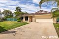 Property photo of 3 Emperor Court Kingston QLD 4114