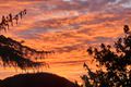 Property photo of 10 Hilton Grove Belgrave VIC 3160