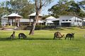 Property photo of 41/90 Beach Road Noosa North Shore QLD 4565