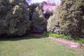 Property photo of 1 Parkleigh Court Langwarrin VIC 3910