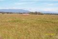 Property photo of 204 Forest Hall Road Cleveland TAS 7211
