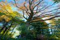 Property photo of 20-22 Queens Avenue Mount Wilson NSW 2786