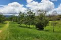 Property photo of 2021 Mirani-Mount Ossa Road Mount Charlton QLD 4741