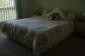 Property photo of 22 Wiltshire Drive Mudgeeraba QLD 4213