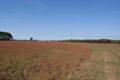 Property photo of 285 Cabbage Tree Road Williamtown NSW 2318