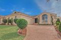 Property photo of 1 Linum Place Mount Annan NSW 2567