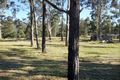 Property photo of 57 Bower Bird Close Vacy NSW 2421