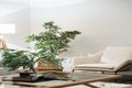 Property photo of 20 Reef Street Thornlands QLD 4164