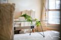 Property photo of 22 Kingston Road Mount Annan NSW 2567