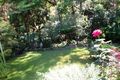 Property photo of 87 Fullers Road Chatswood NSW 2067