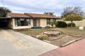 Property photo of 41 Dridan Avenue Renmark SA 5341