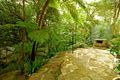Property photo of 9 Kalang Avenue Killara NSW 2071