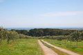 Property photo of 515 Grasslands Road Boneo VIC 3939