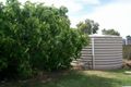 Property photo of 3 Cheeseman Grove Willunga SA 5172