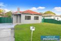 Property photo of 10 Maubeuge Street South Granville NSW 2142