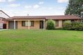 Property photo of 29 Chasselas Avenue Eschol Park NSW 2558