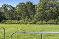 Property photo of 259 Harbour Drive Coffs Harbour NSW 2450