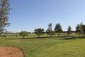 Property photo of 10 Redgum Place Narromine NSW 2821