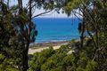 Property photo of 5 The Bluff Wye River VIC 3234