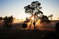 Property photo of 11 Sea Eagle Avenue Moore Creek NSW 2340