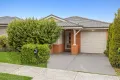 Property photo of 13 Ellaroo Circuit Clyde North VIC 3978
