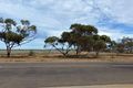 Property photo of 186 Cartledge Avenue Whyalla Stuart SA 5608