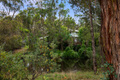 Property photo of 53 Karava Place Uralla NSW 2358