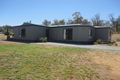 Property photo of 108 Thanowring School Road Temora NSW 2666