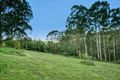 Property photo of 150 Beenak Road Gembrook VIC 3783
