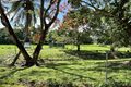Property photo of 7 Ronlund Road Murray Upper QLD 4854