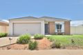 Property photo of 157 Indi Avenue Red Cliffs VIC 3496