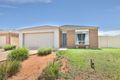 Property photo of 157 Indi Avenue Red Cliffs VIC 3496