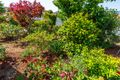 Property photo of 11 Sunlea Place Glenorchy TAS 7010