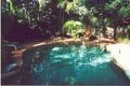 Property photo of 55 Teroma Street The Gap QLD 4061