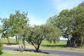 Property photo of 45 Southee Road Hobartville NSW 2753