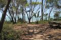 Property photo of 84 Kingfisher Parade Toogoom QLD 4655