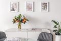 Property photo of 529/5 Defries Avenue Zetland NSW 2017