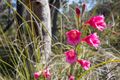 Property photo of 17/91 Strive Loop Girrawheen WA 6064