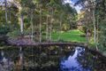Property photo of 8 Azalea Street Mapleton QLD 4560