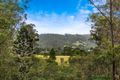 Property photo of 1/463 Gold Creek Road Brookfield QLD 4069