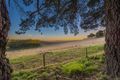 Property photo of 615 Springmount Road Inman Valley SA 5211