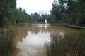 Property photo of 38 Avocet Circuit Cranebrook NSW 2749
